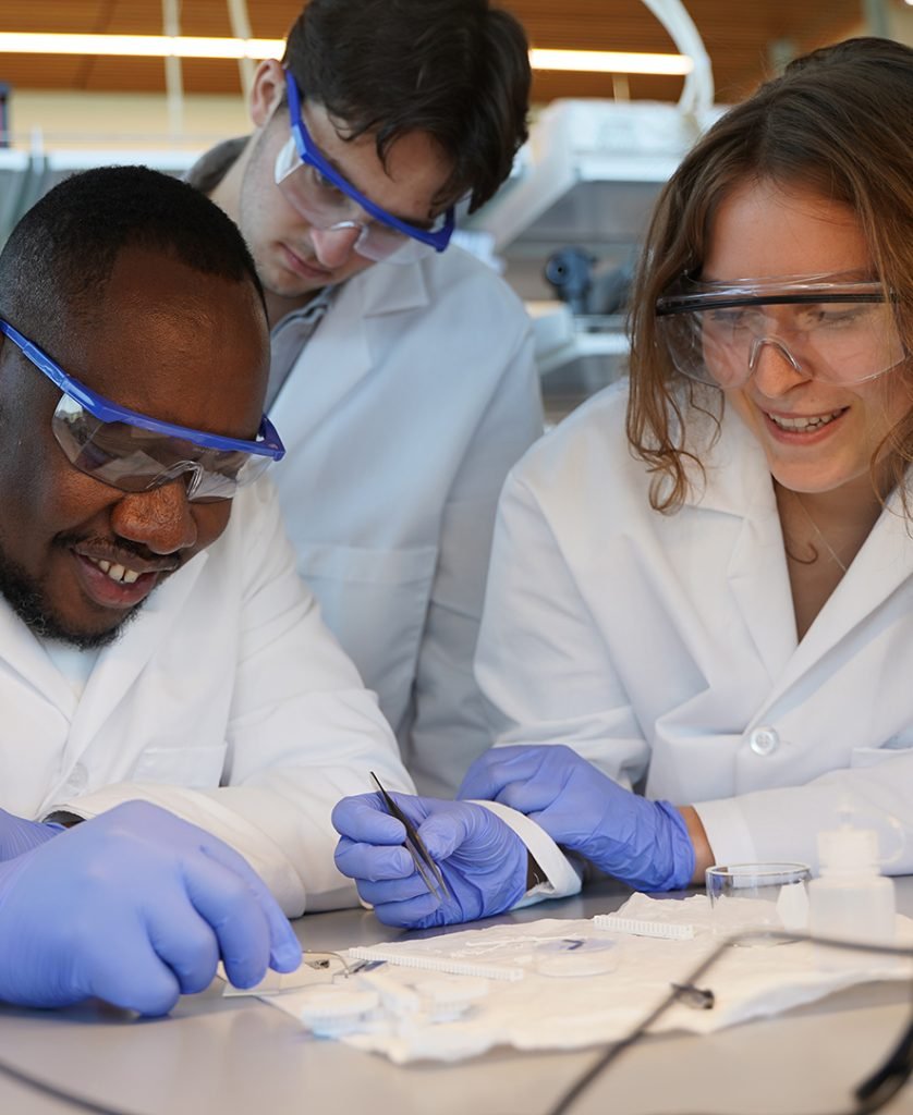 Three scientists analyzing samples